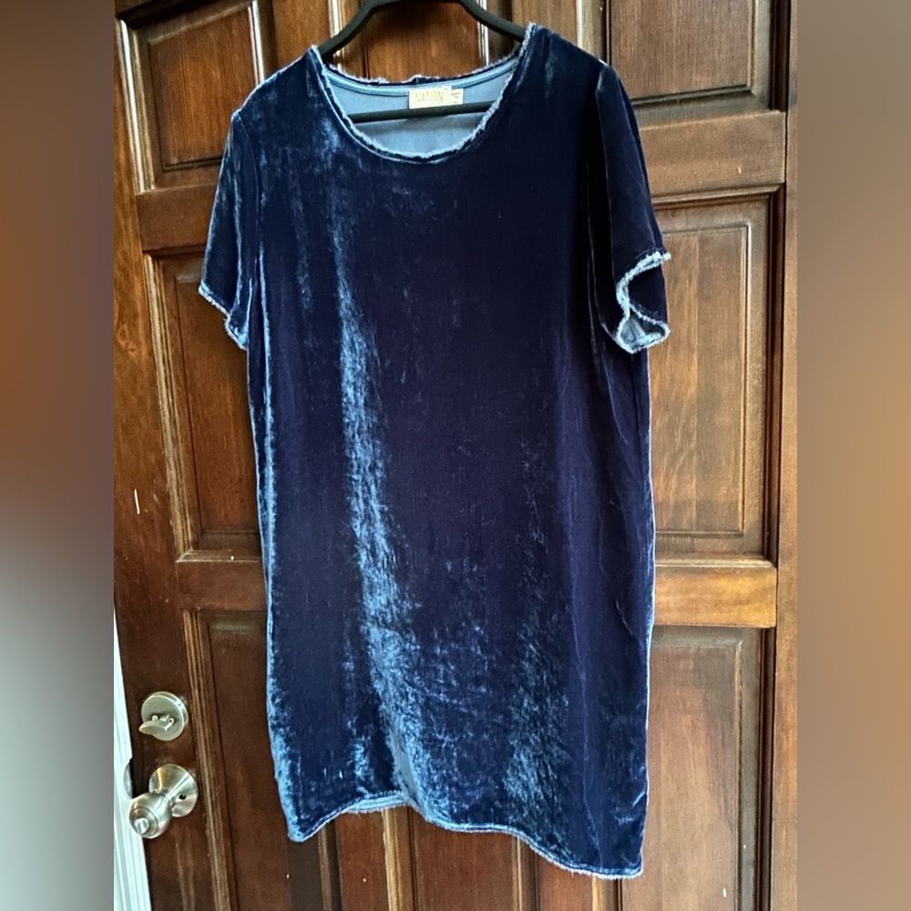 Nation Ltd Velour/Velveteen Dress | Blue | S